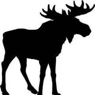 2025 SWF Membership - Moose Mountain WIldlife Federation