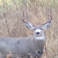 SWF 2025 Membership - Valley Trails Wildlife Federation - Rosthern, Hague Areas