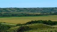 2025 SWF Membership - Valley View Wildlife Federation - Shop Local
