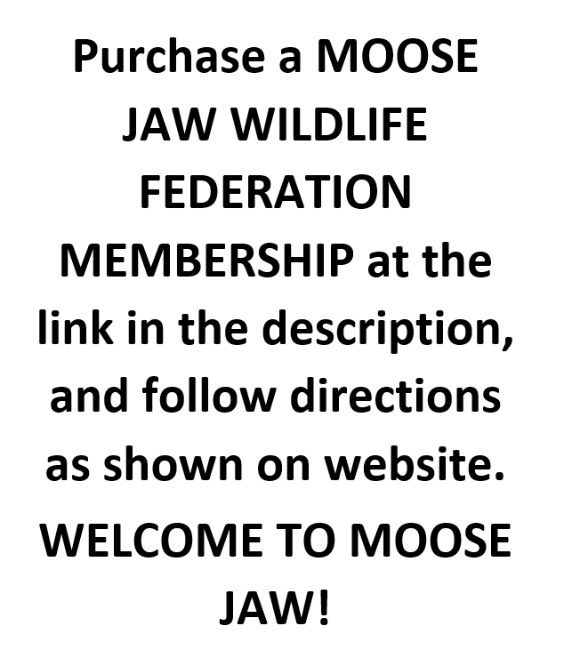 2024 SWF Membership - Moose Jaw Wildlife Federation -Please Go to https://mjwildlife.ca/